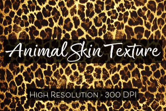 Download Animal Skin Texture - Animal Collection